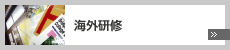 海外研修
