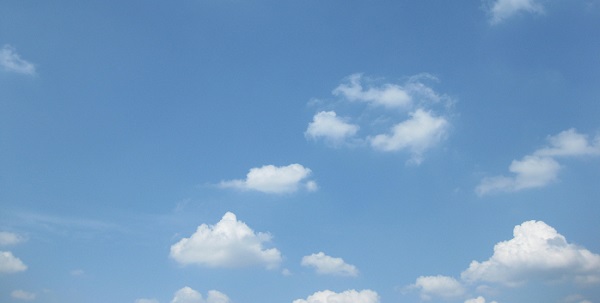 ﾏｲﾝﾄﾞﾌﾙﾈｽｾﾝﾀｰ