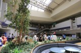 名古屋経済大学 ２０１５年７月２６日オープンキャンパス 学食体験