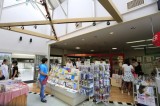 名古屋経済大学 ２０１５年７月２６日オープンキャンパス キャンパスツアー