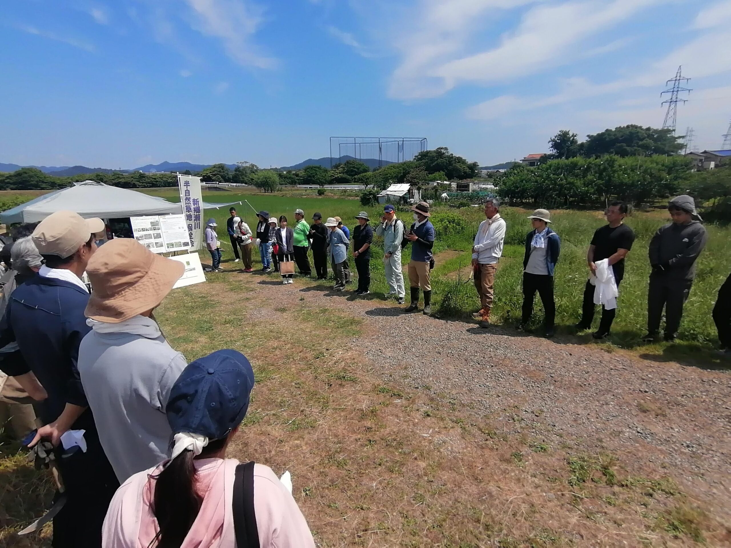 犬山市 新郷瀬川の除草作業と植物観察