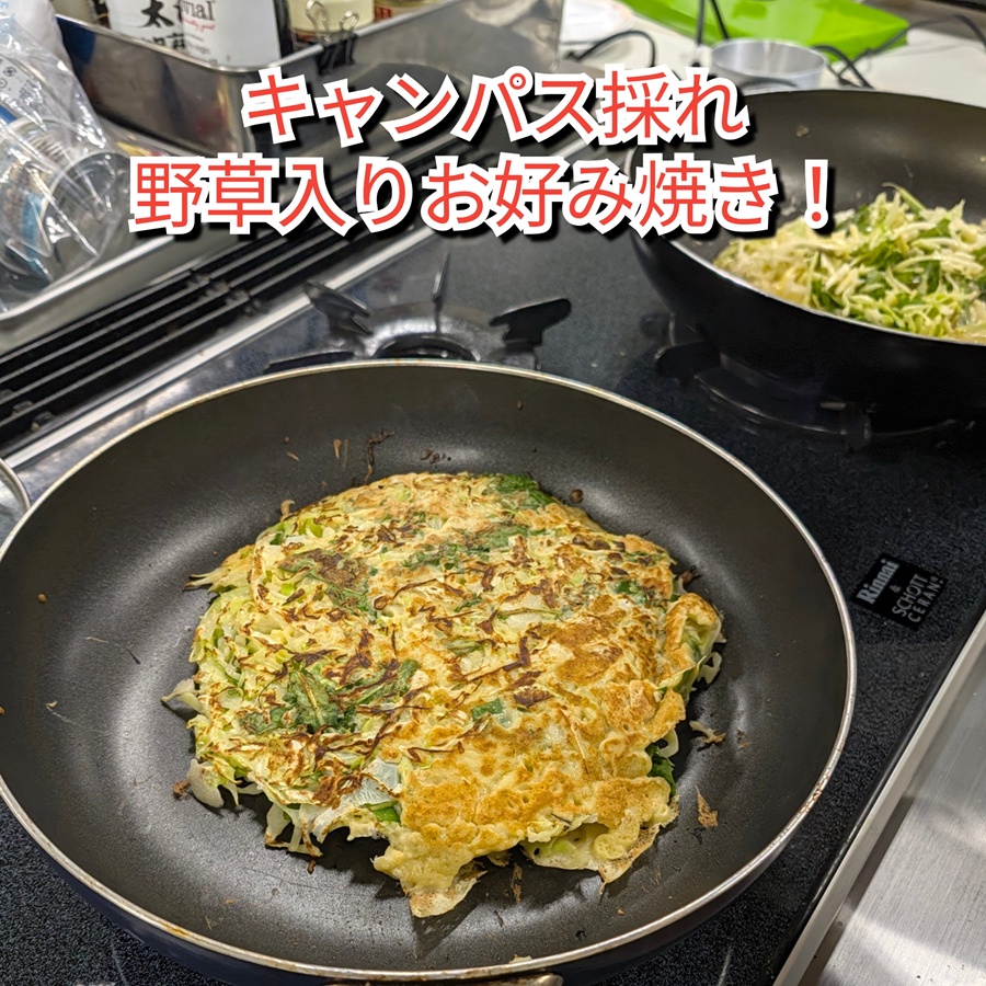野草を摘んで食べてみよう！