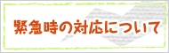 緊急時の対応について