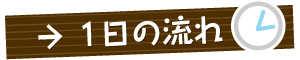 一日の流れ